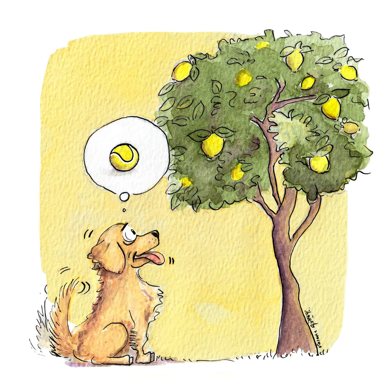 Árbol de pelotas