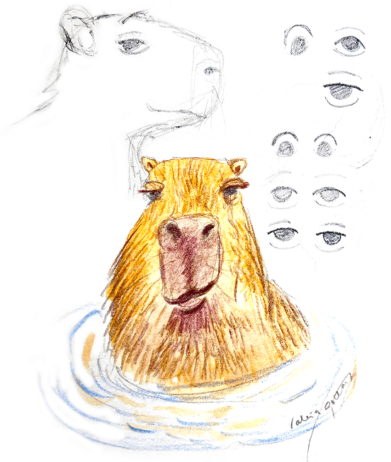 Early shape, proportion & expression studies