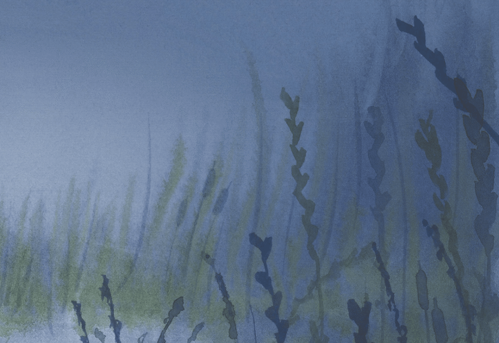 Final vegetation artwork